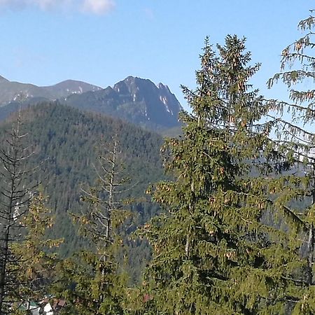 Apartament Z Kogutem Zakopane Exterior foto