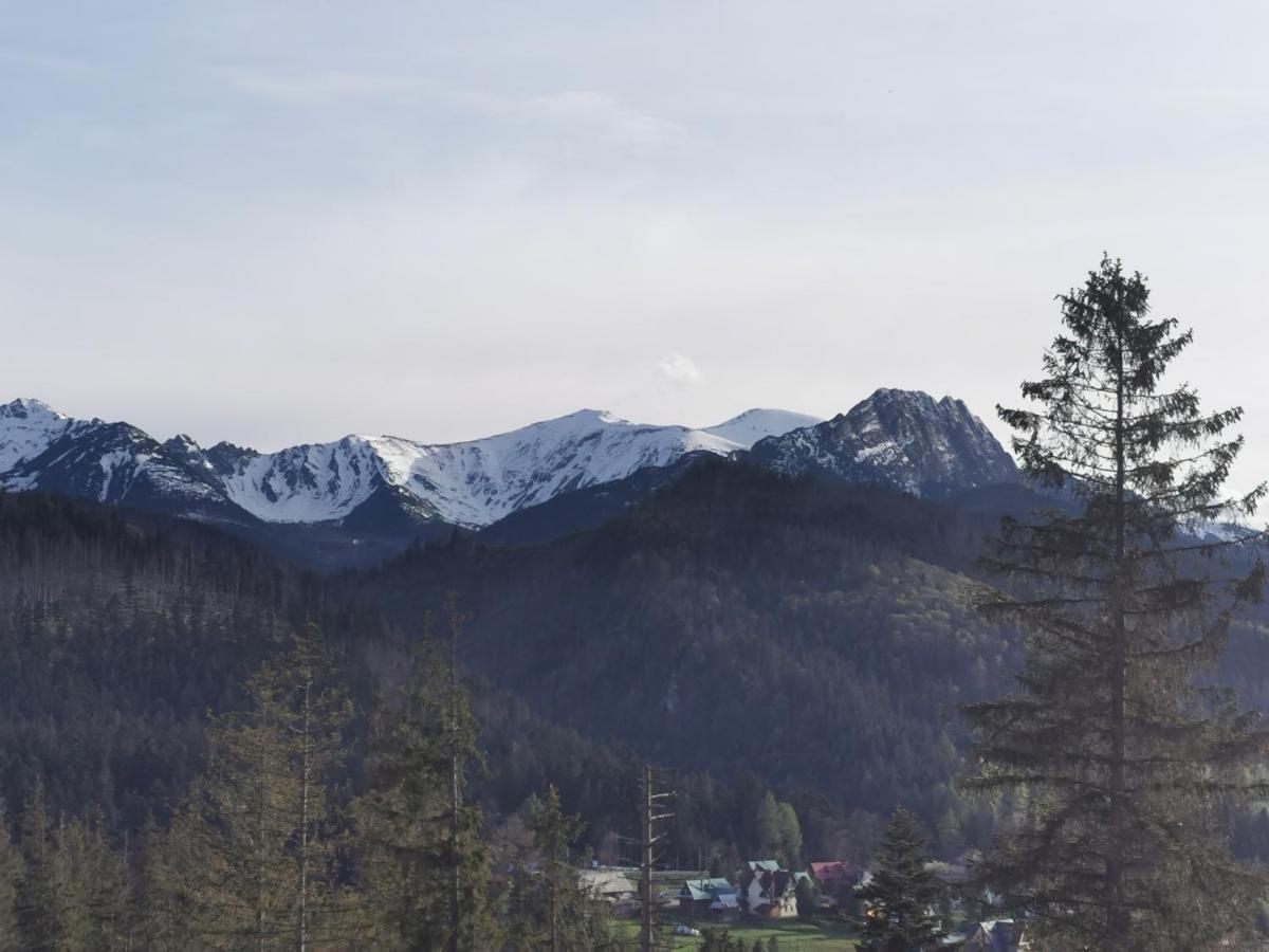 Apartament Z Kogutem Zakopane Exterior foto