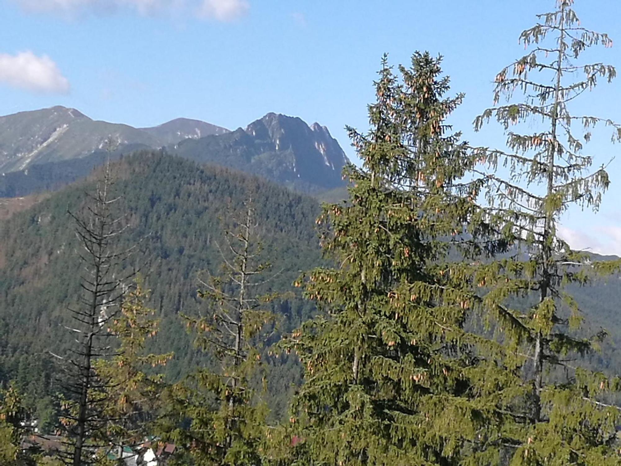 Apartament Z Kogutem Zakopane Exterior foto