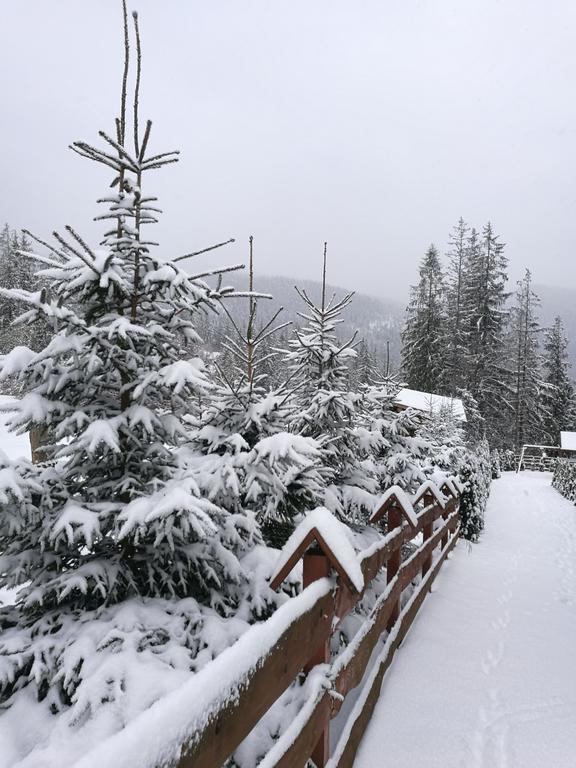 Apartament Z Kogutem Zakopane Exterior foto