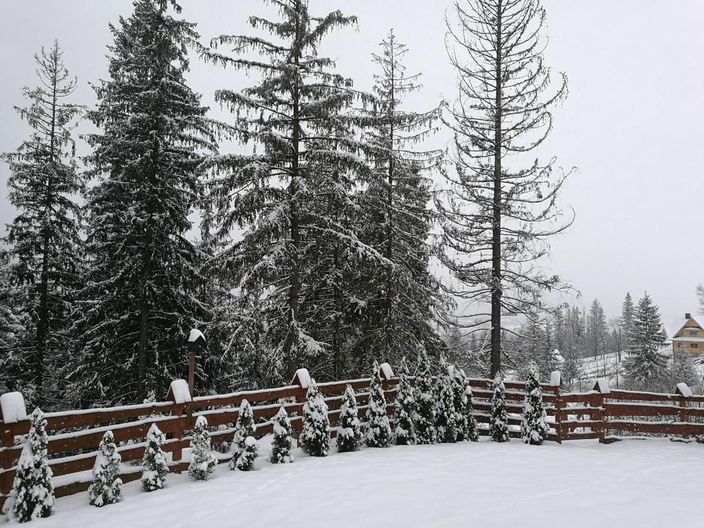 Apartament Z Kogutem Zakopane Exterior foto